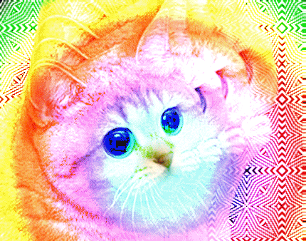 70fafcb7926c387a624f2f215f9058d1