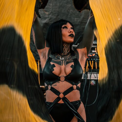 Alternative view of Nectar Silk Veil Fans