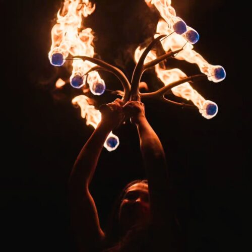 Alternative view of Antler Fire Wick