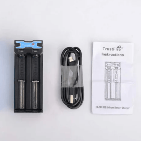 International Battery Charger